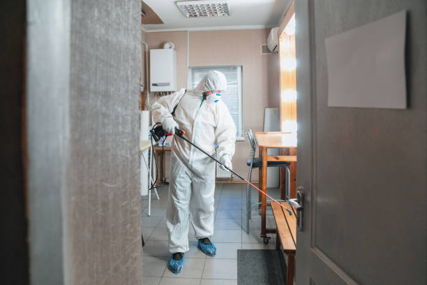 Mold Remediation for Rental Properties in Providence, RI